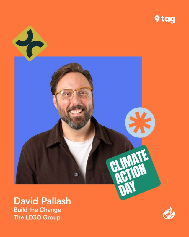 David Pallash, The LEGO Group