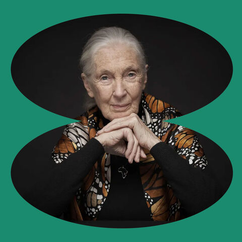 Jane Goodall